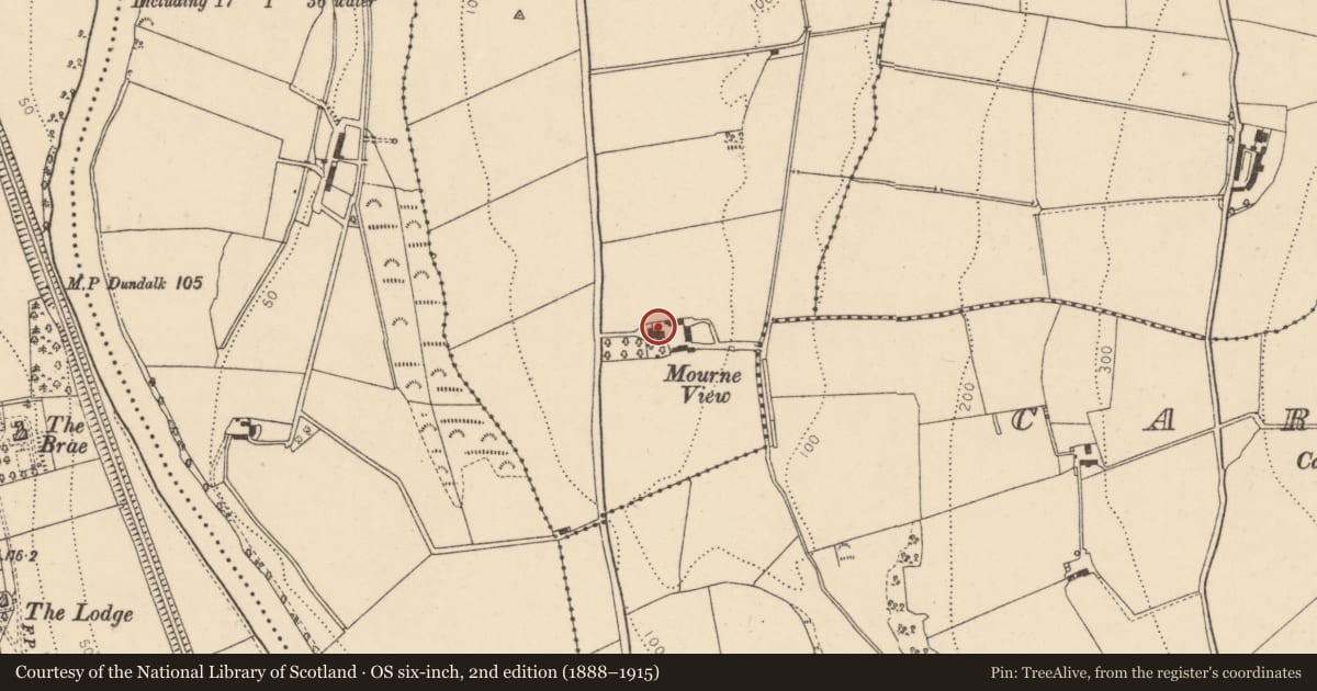 Ordnance Survey six-inch map, 2nd edition (1888–1915) covering the location of Mourneview, Drumnaboy, Derry City and Strabane, with a pin at the register's coordinates