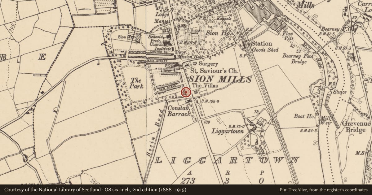 Ordnance Survey six-inch map, 2nd edition (1888–1915) covering the location of 1 Alexandra Place, Liggartown, Derry City and Strabane, with a pin at the register's coordinates