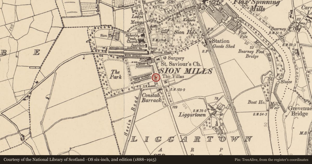 Ordnance Survey six-inch map, 2nd edition (1888–1915) covering the location of 5 Alexandra Place, Liggartown, Derry City and Strabane, with a pin at the register's coordinates
