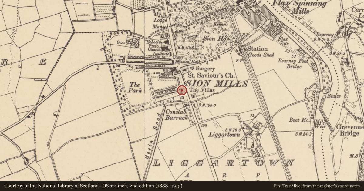 Ordnance Survey six-inch map, 2nd edition (1888–1915) covering the location of 6 Alexandra Place, Liggartown, Derry City and Strabane, with a pin at the register's coordinates