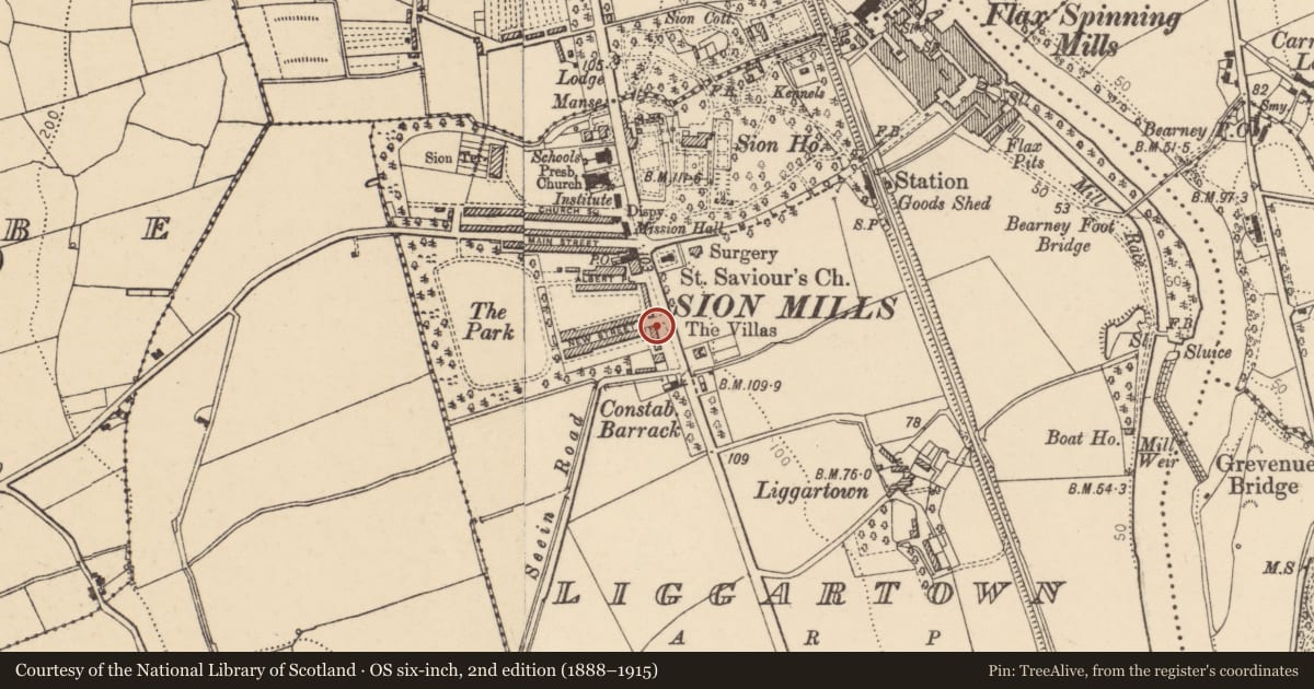 Ordnance Survey six-inch map, 2nd edition (1888–1915) covering the location of 8 Alexandra Place, Liggartown, Derry City and Strabane, with a pin at the register's coordinates