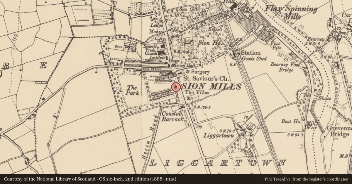 Ordnance Survey six-inch map, 2nd edition (1888–1915) covering the location of 10 Alexandra Place, Liggartown, Derry City and Strabane, with a pin at the register's coordinates