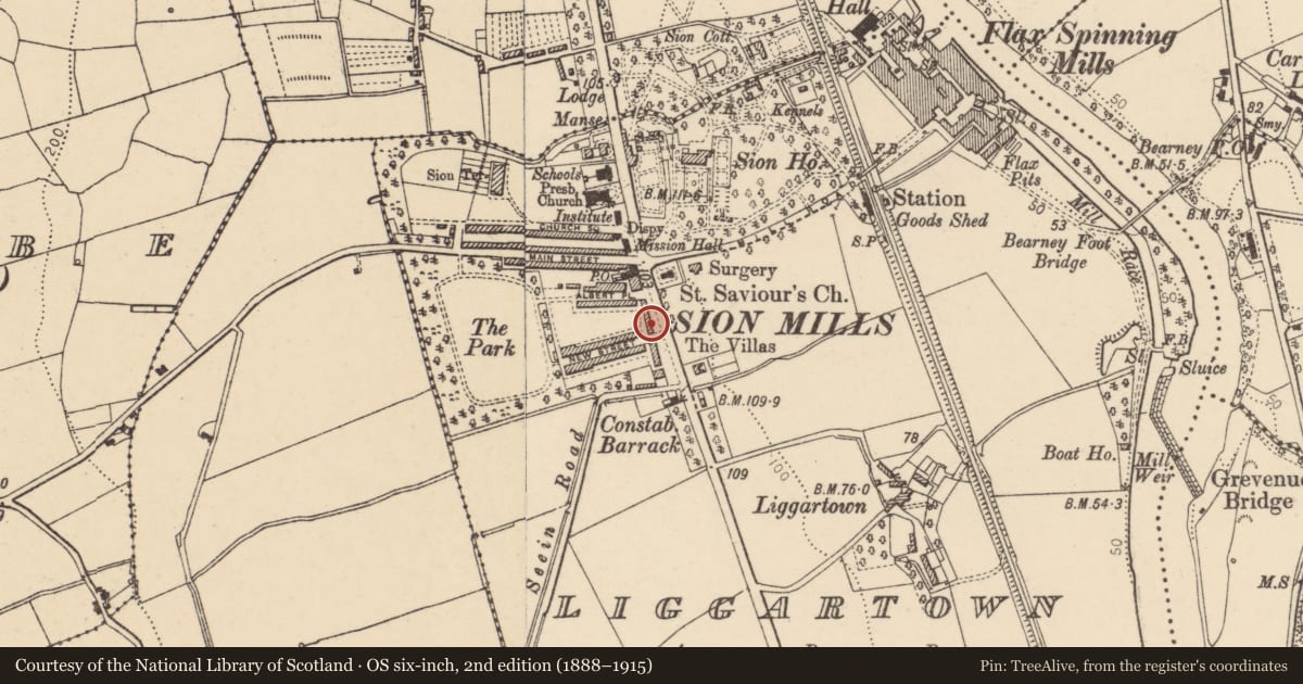Ordnance Survey six-inch map, 2nd edition (1888–1915) covering the location of 11 Alexandra Place, Liggartown, Derry City and Strabane, with a pin at the register's coordinates