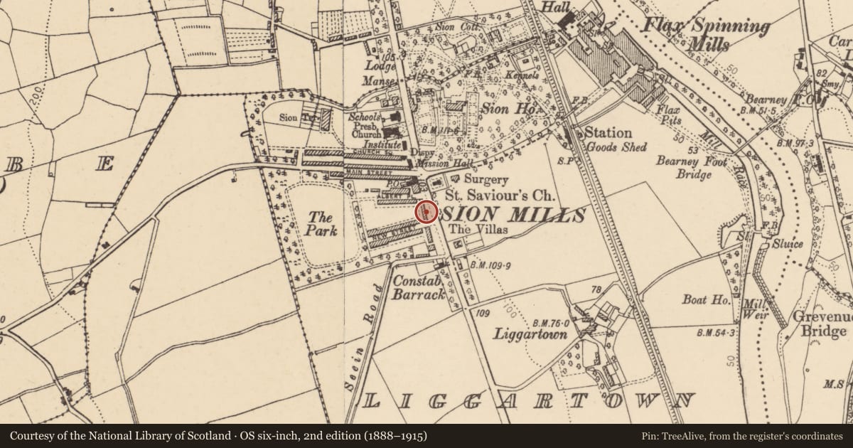Ordnance Survey six-inch map, 2nd edition (1888–1915) covering the location of 12 Alexandra Place, Liggartown, Derry City and Strabane, with a pin at the register's coordinates