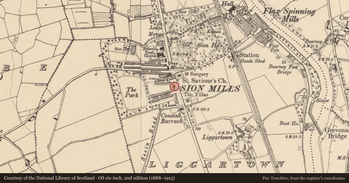 Ordnance Survey six-inch map, 2nd edition (1888–1915) covering the location of 13 Alexandra Place, Liggartown, Derry City and Strabane, with a pin at the register's coordinates