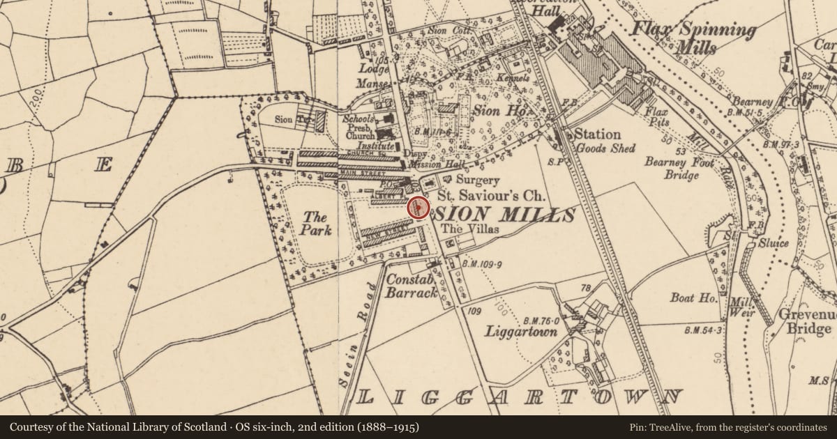 Ordnance Survey six-inch map, 2nd edition (1888–1915) covering the location of 14 Alexandra Place, Liggartown, Derry City and Strabane, with a pin at the register's coordinates