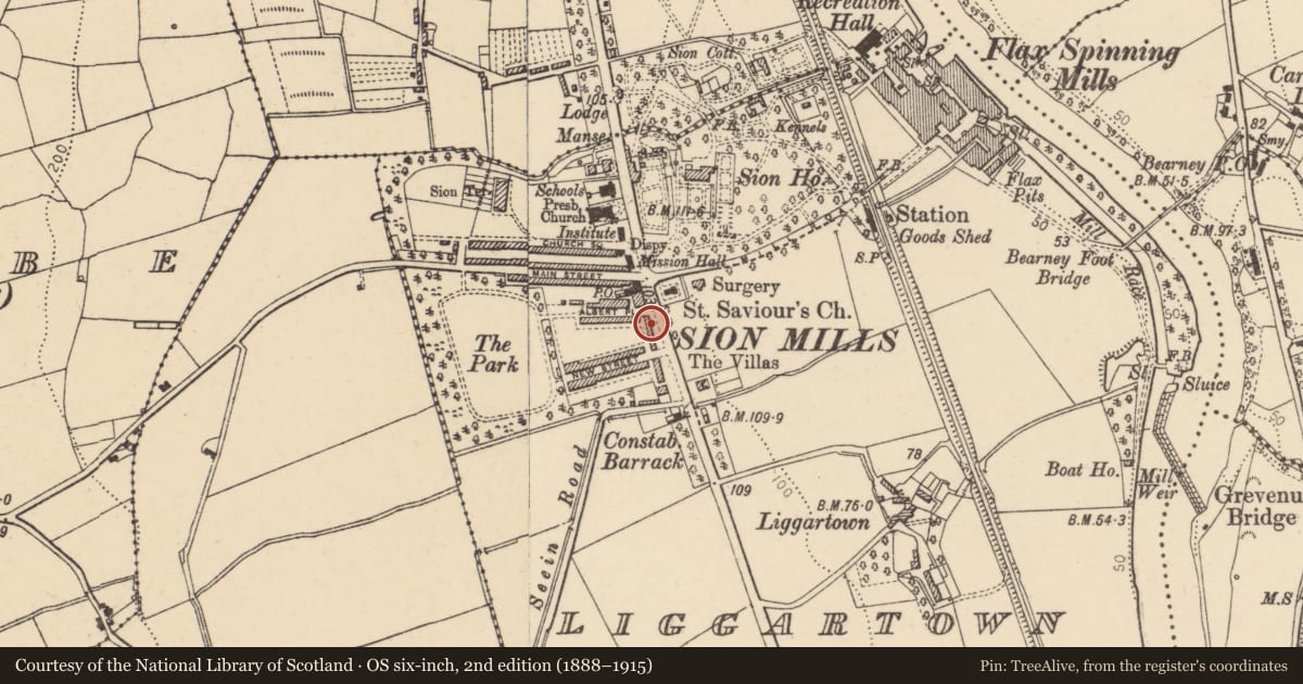 Ordnance Survey six-inch map, 2nd edition (1888–1915) covering the location of 16 Alexandra Place, Liggartown, Derry City and Strabane, with a pin at the register's coordinates