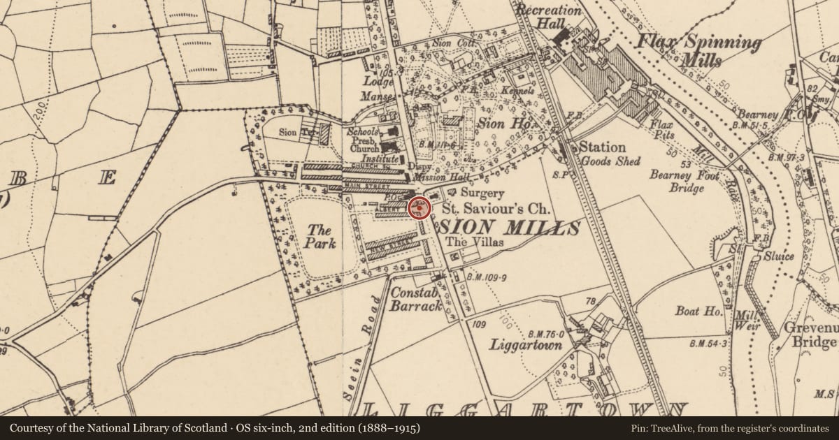Ordnance Survey six-inch map, 2nd edition (1888–1915) covering the location of 20 Alexandra Place, Liggartown, Derry City and Strabane, with a pin at the register's coordinates