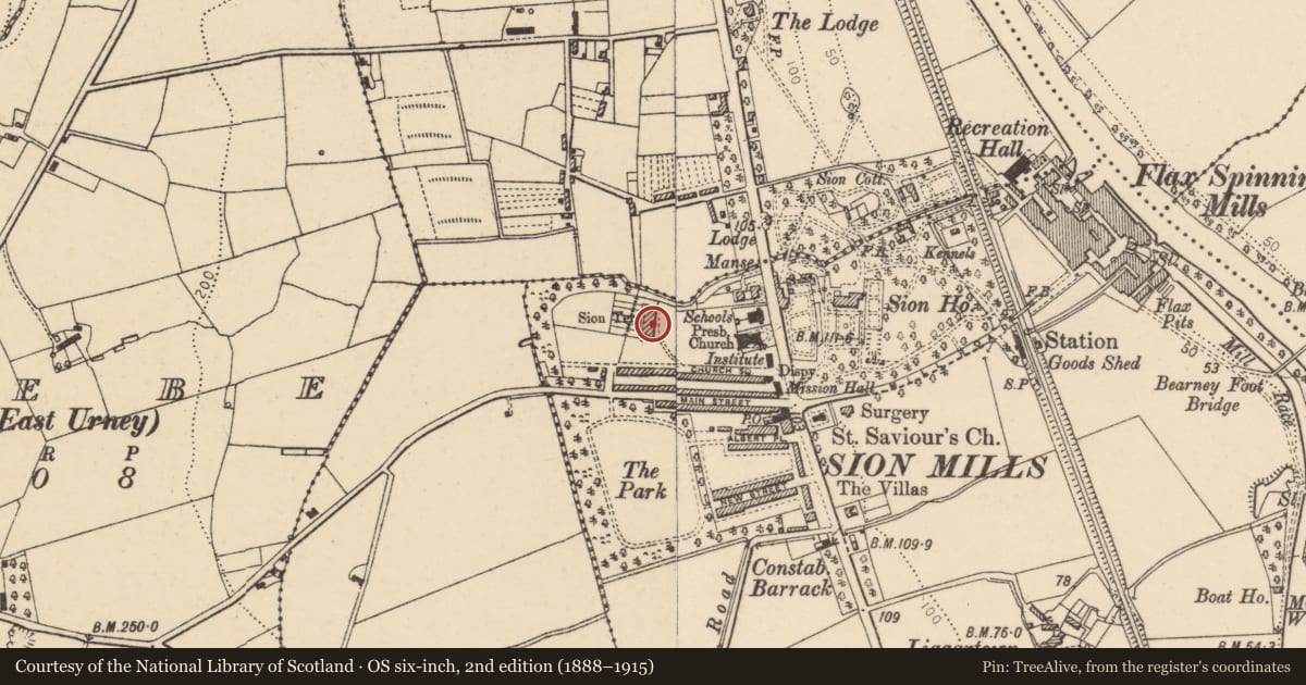 Ordnance Survey six-inch map, 2nd edition (1888–1915) covering the location of 5 Sion Terrace, Sion Mills, Derry City and Strabane, with a pin at the register's coordinates