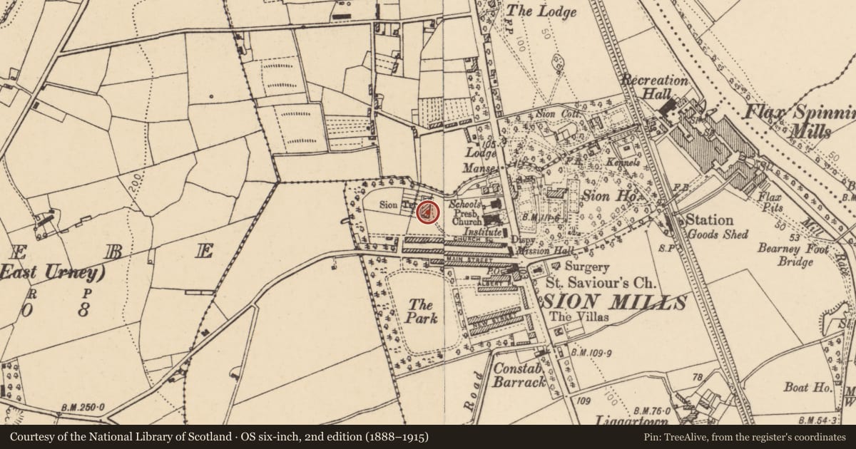 Ordnance Survey six-inch map, 2nd edition (1888–1915) covering the location of 6 Sion Terrace, Sion Mills, Derry City and Strabane, with a pin at the register's coordinates