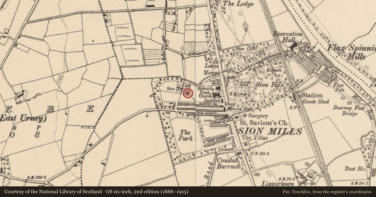 Ordnance Survey six-inch map, 2nd edition (1888–1915) covering the location of 7 Sion Terrace, Sion Mills, Derry City and Strabane, with a pin at the register's coordinates