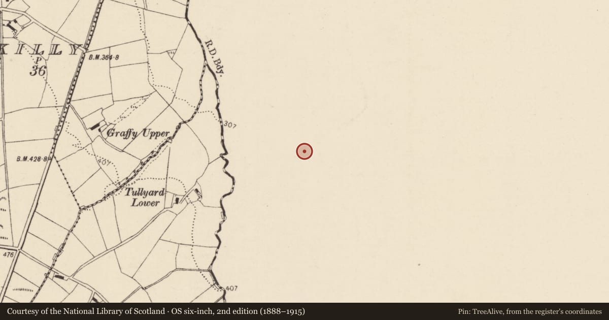 Ordnance Survey six-inch map, 2nd edition (1888–1915) covering the location of 15 Lisadoo Road, Clady, Strabane BT82 9RQ, Derry City and Strabane, with a pin at the register's coordinates