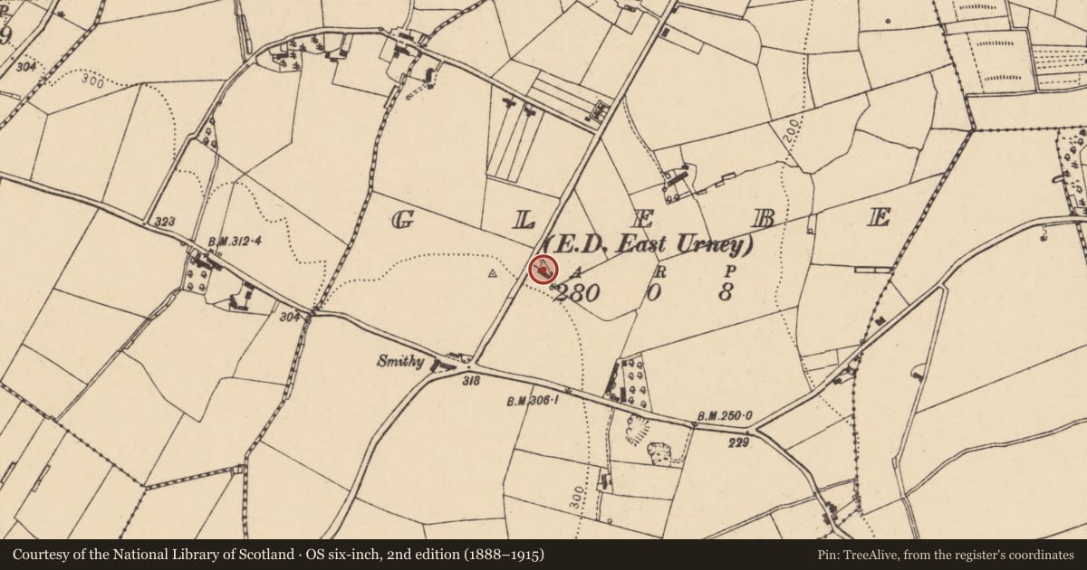 Ordnance Survey six-inch map, 2nd edition (1888–1915) covering the location of 40 Peacock Road, Glebe, Derry City and Strabane, with a pin at the register's coordinates