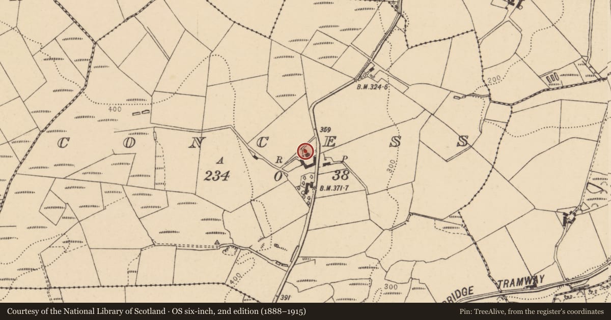 Ordnance Survey six-inch map, 2nd edition (1888–1915) covering the location of 33 Concess Road, Sion Mills, BT82 9NA, Derry City and Strabane, with a pin at the register's coordinates