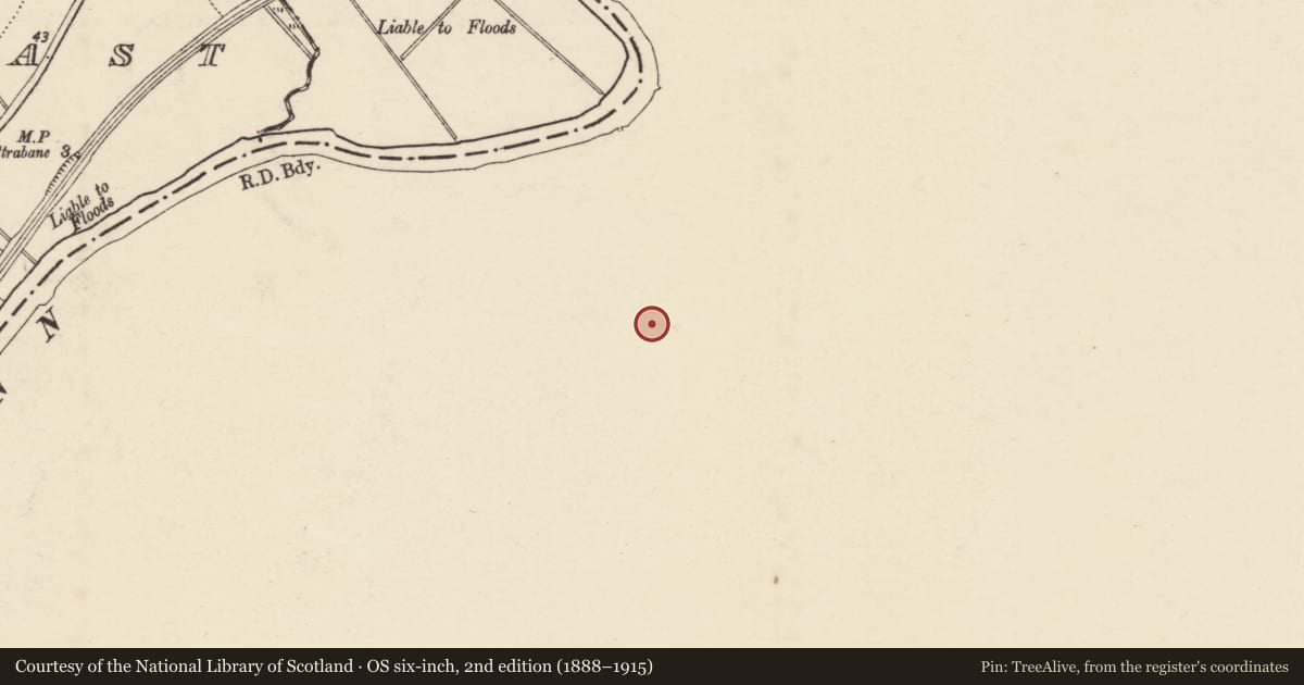 Ordnance Survey six-inch map, 2nd edition (1888–1915) covering the location of Christ Church, Urney, Derry City and Strabane, with a pin at the register's coordinates