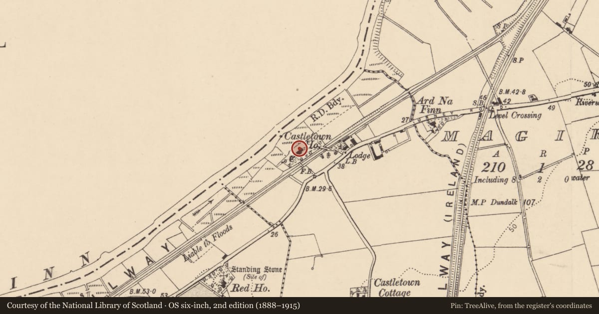 Ordnance Survey six-inch map, 2nd edition (1888–1915) covering the location of Castletown House, Derry City and Strabane, with a pin at the register's coordinates