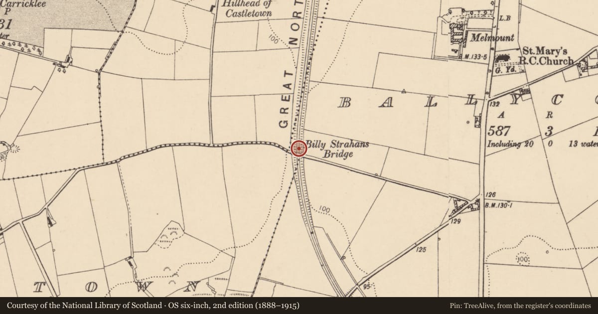 Ordnance Survey six-inch map, 2nd edition (1888–1915) covering the location of Billy Strahan's Bridge, Strahan's Road, Backtown & Castletowl, Strabane, Derry City and Strabane, with a pin at the register's coordinates