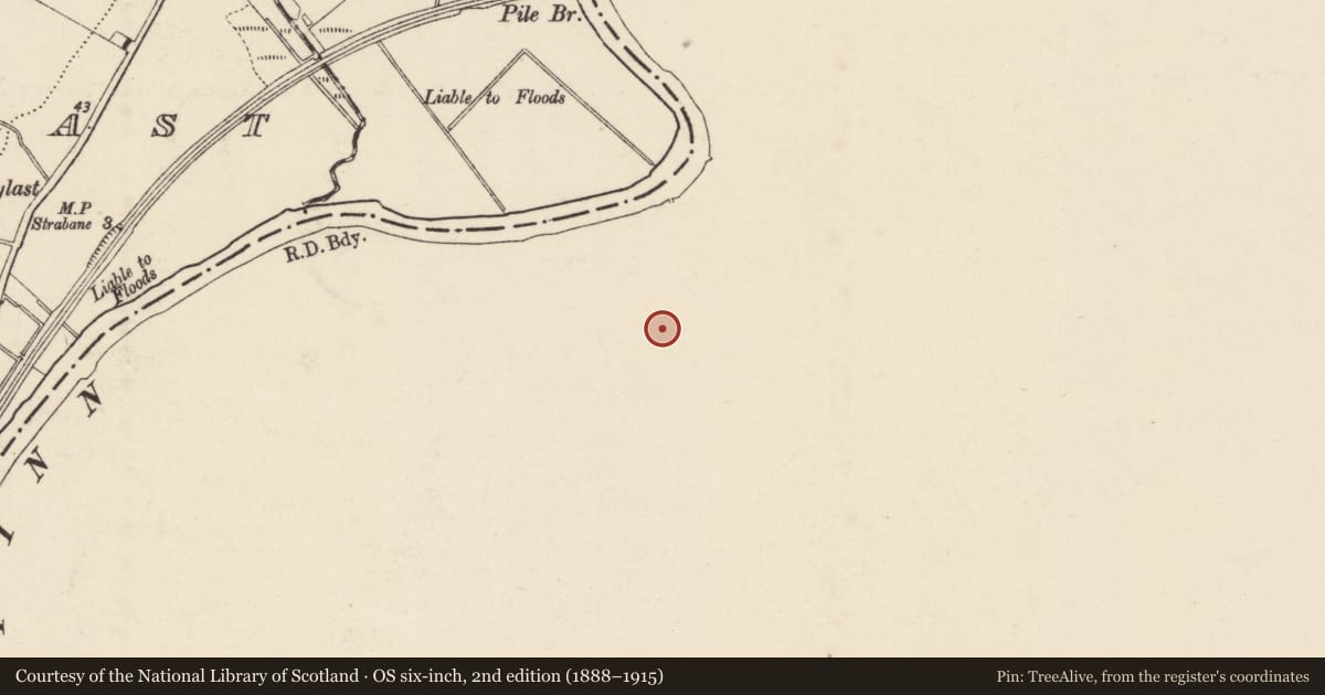 Ordnance Survey six-inch map, 2nd edition (1888–1915) covering the location of Graveyard, Urney Road, Strabane, Co Tyrone, Derry City and Strabane, with a pin at the register's coordinates