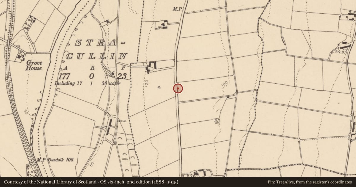 Ordnance Survey six-inch map, 2nd edition (1888–1915) covering the location of Ichenny House, 33 Prospect Road, Clady, Strabane, Derry City and Strabane, with a pin at the register's coordinates