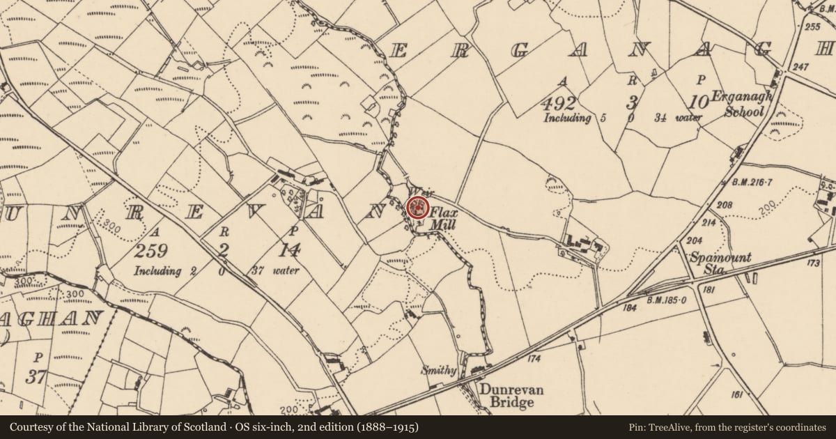 Ordnance Survey six-inch map, 2nd edition (1888–1915) covering the location of Mill site, Erganagh Road, Castlederg BT81 7JS, Derry City and Strabane, with a pin at the register's coordinates