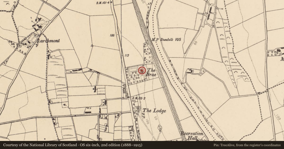 Ordnance Survey six-inch map, 2nd edition (1888–1915) covering the location of 'The Brae', Ballyfatten, Derry City and Strabane, with a pin at the register's coordinates
