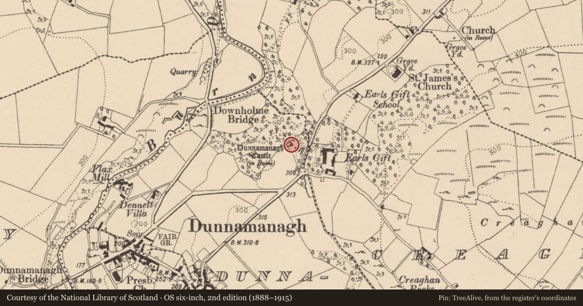Ordnance Survey six-inch map, 2nd edition (1888–1915) covering the location of Dunnamanagh Castle, East of 284 Berryhill Road, Donemana BT82 0PA, Derry City and Strabane, with a pin at the register's coordinates