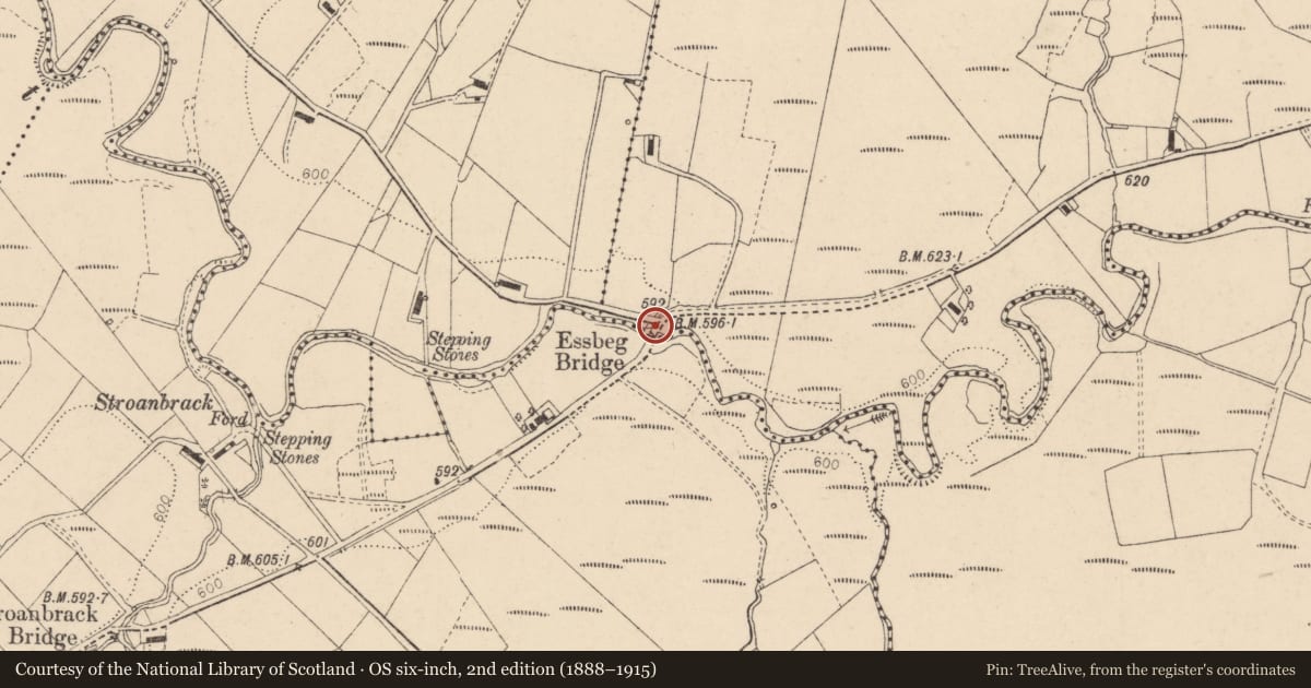 Ordnance Survey six-inch map, 2nd edition (1888–1915) covering the location of Essbeg Bridge over Burn Dennet, Carrickayne Road, Stroanbrack, Strabane, Co Tyrone, Derry City and Strabane, with a pin at the register's coordinates