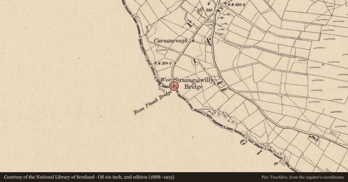 Ordnance Survey six-inch map, 2nd edition (1888–1915) covering the location of Strangalwilly Bridge, Carnanreagh Road, Strabane, Derry City and Strabane, with a pin at the register's coordinates