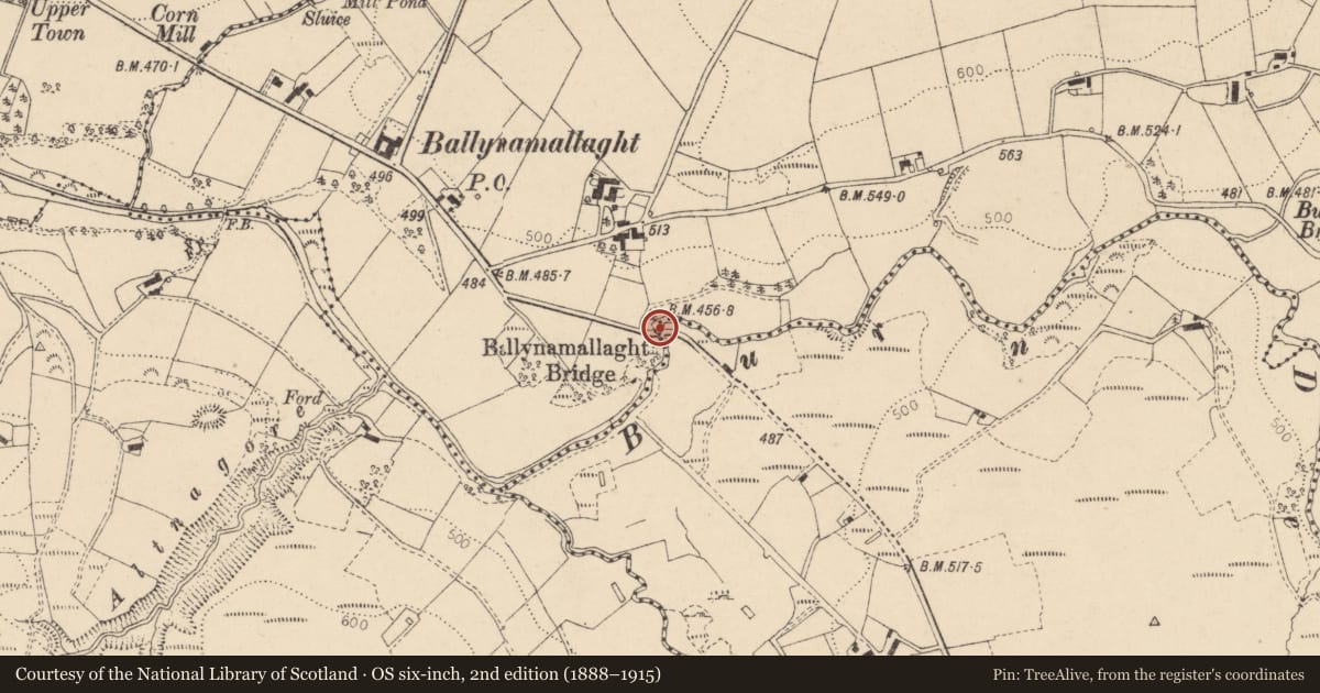 Ordnance Survey six-inch map, 2nd edition (1888–1915) covering the location of Ballynamallaght Bridge, Lisnaragh Road, Dunamanagh, BT82 0SD, Derry City and Strabane, with a pin at the register's coordinates