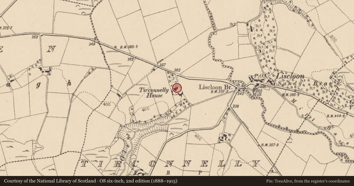 Ordnance Survey six-inch map, 2nd edition (1888–1915) covering the location of Tirconnelly House, 77 Longland Road, Dunamanagh, BT82 0PL, Derry City and Strabane, with a pin at the register's coordinates