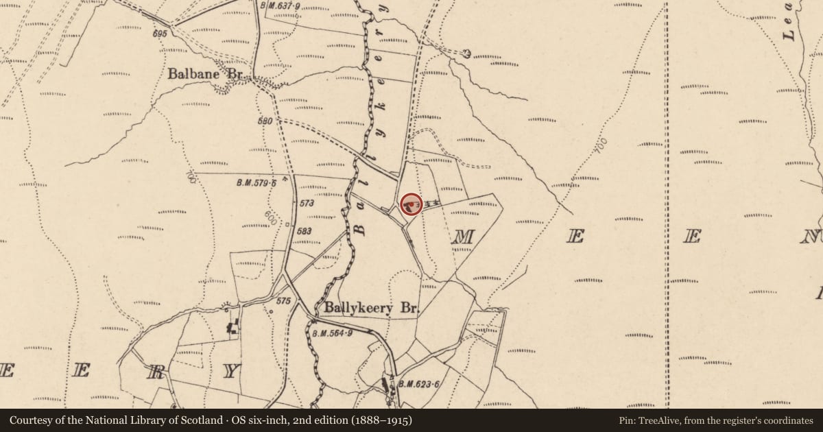 Ordnance Survey six-inch map, 2nd edition (1888–1915) covering the location of 6 Balbane Road, Meendamph, Derry City and Strabane, with a pin at the register's coordinates