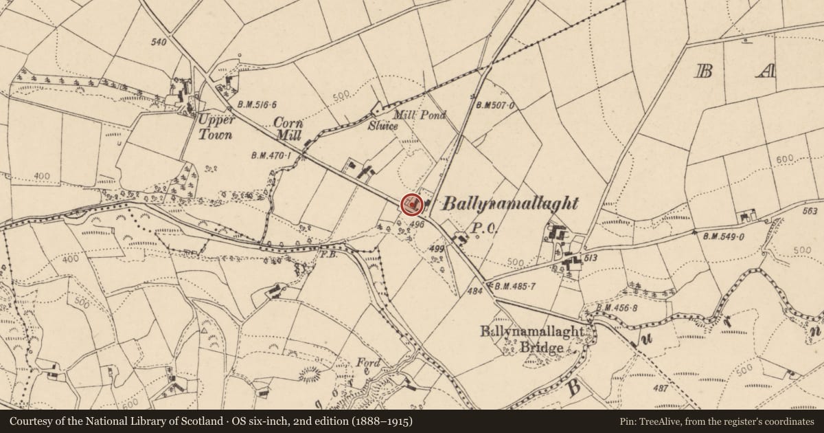 Ordnance Survey six-inch map, 2nd edition (1888–1915) covering the location of Telephone Kiosk, Ballynamallaght, with a pin at the register's coordinates