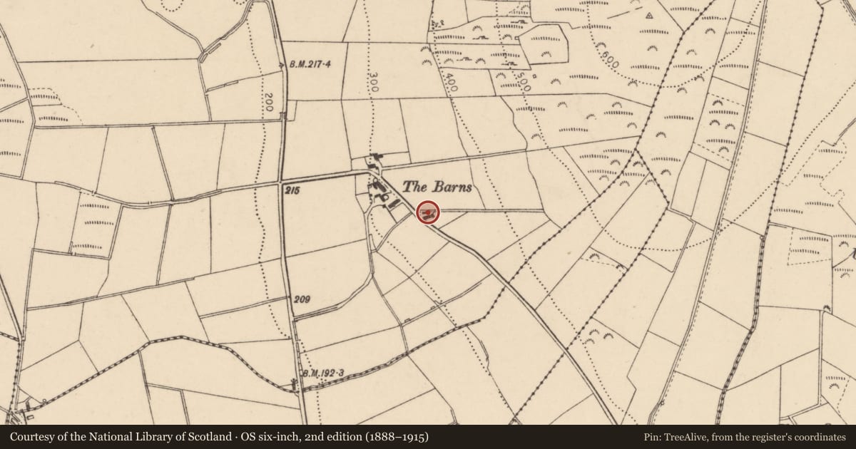 Ordnance Survey six-inch map, 2nd edition (1888–1915) covering the location of Cavancreagh Road, Cullion, Dunamanagh, Strabane, Co Tyrone, BT82 0LS, Derry City and Strabane, with a pin at the register's coordinates