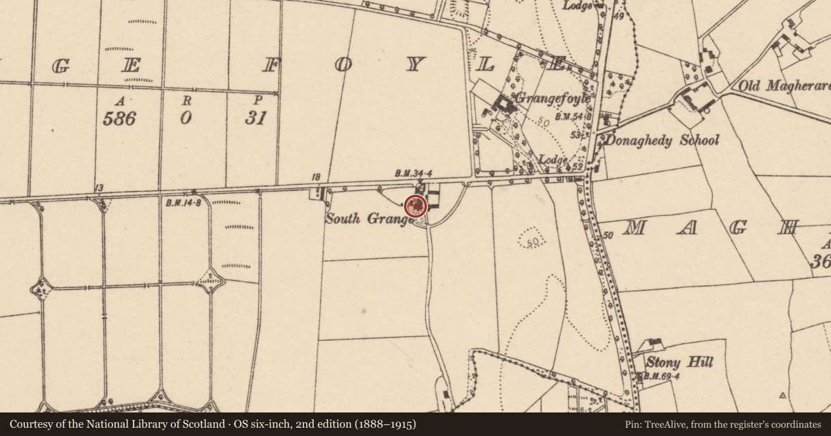 Ordnance Survey six-inch map, 2nd edition (1888–1915) covering the location of 8 Grangefoyle Road, Bready, Co Tyrone BT82 0DL, Derry City and Strabane, with a pin at the register's coordinates
