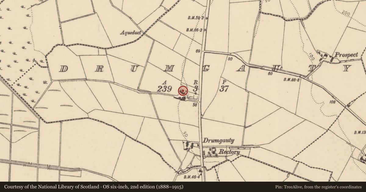 Ordnance Survey six-inch map, 2nd edition (1888–1915) covering the location of House in grounds of 266 Victoria Road, Bready, Strabane, Co Tyrone BT82 0ED, Drumgauty, Derry City and Strabane, with a pin at the register's coordinates