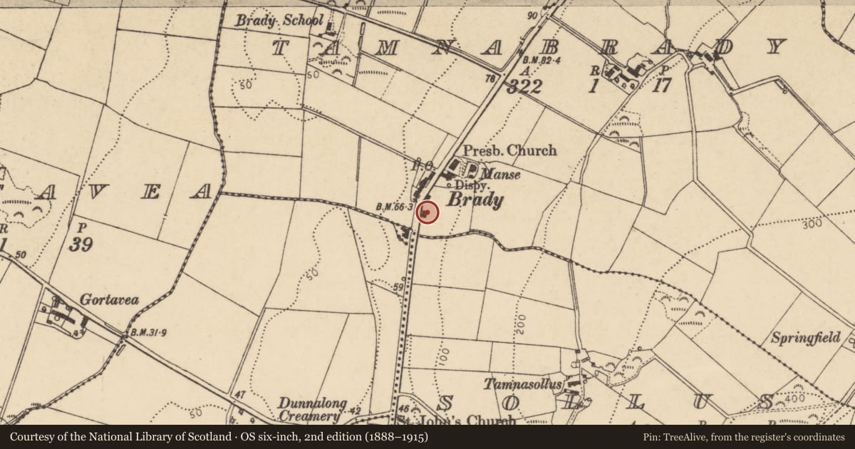 Ordnance Survey six-inch map, 2nd edition (1888–1915) covering the location of 217 Victoria Road, Bready, Strabane, Co Tyrone BT82 0EB, Tamnabrady, Derry City and Strabane, with a pin at the register's coordinates
