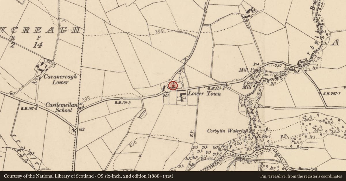 Ordnance Survey six-inch map, 2nd edition (1888–1915) covering the location of Carrickatane and Ardcame Road, Strabane, Co Tyrone BT82 0LT, Castlemellan, Derry City and Strabane, with a pin at the register's coordinates