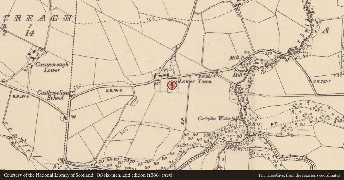 Ordnance Survey six-inch map, 2nd edition (1888–1915) covering the location of House at 15 Ardcame Road, Strabane, Co Tyrone BT82 0LT, Castlemellan, Derry City and Strabane, with a pin at the register's coordinates