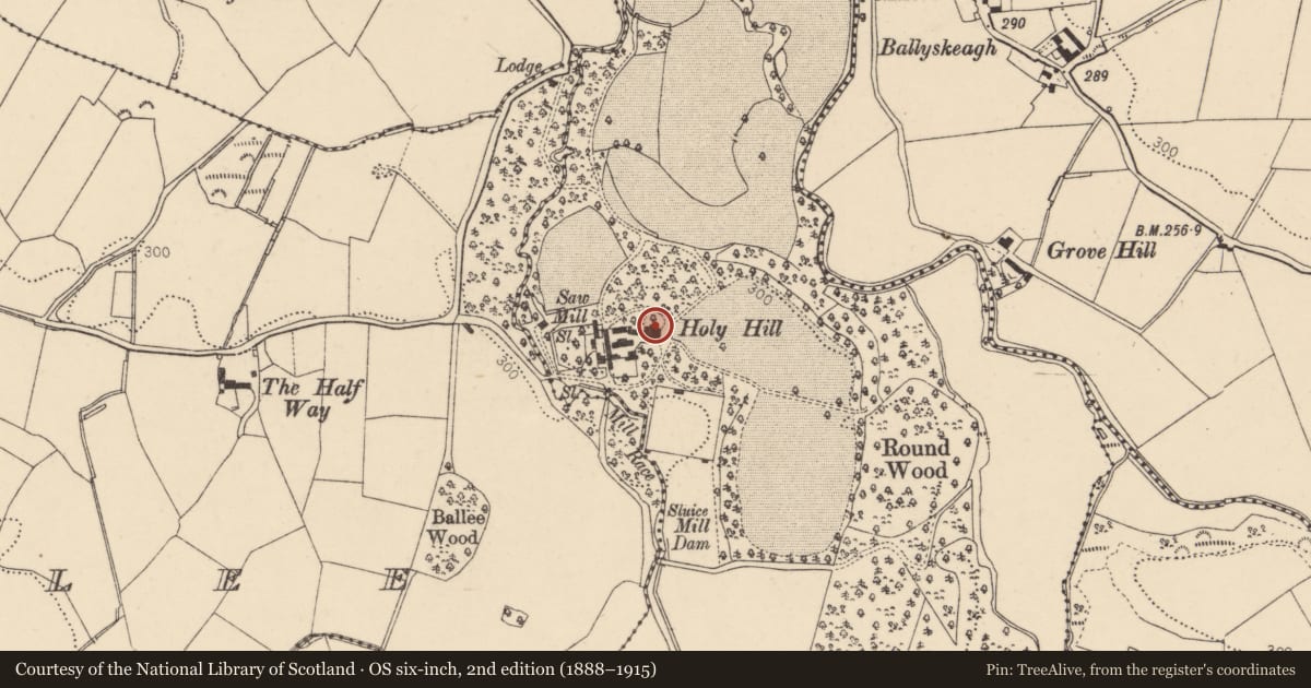 Ordnance Survey six-inch map, 2nd edition (1888–1915) covering the location of Holy Hill House, Hollyhill, Derry City and Strabane, with a pin at the register's coordinates