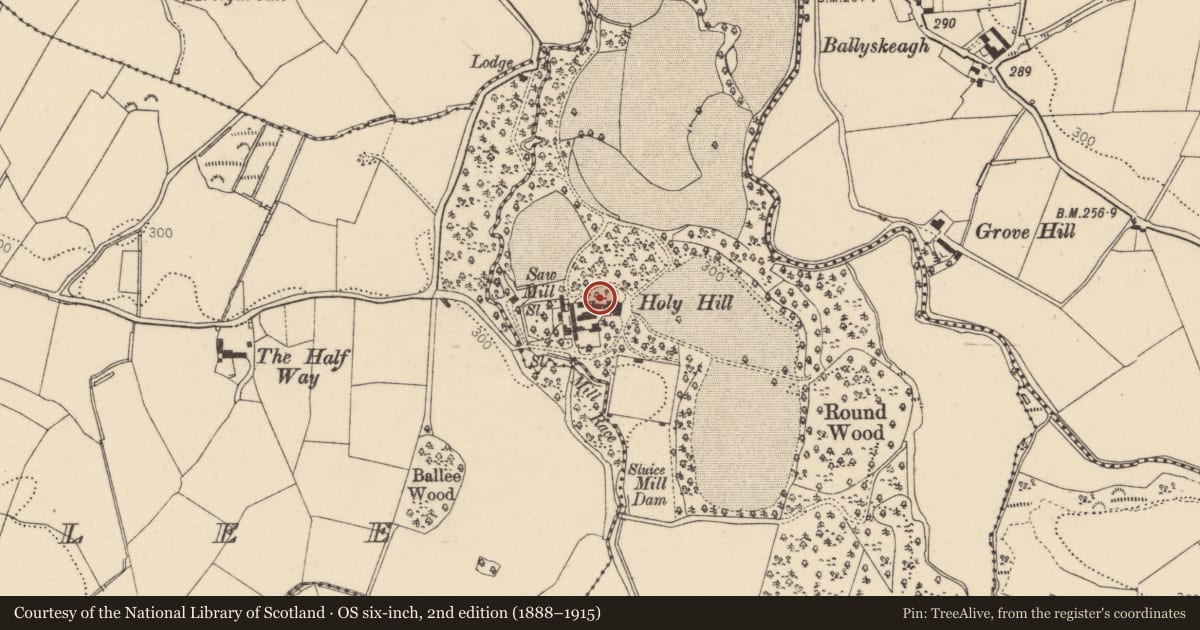 Ordnance Survey six-inch map, 2nd edition (1888–1915) covering the location of Attached Outbuilding at Holy Hill House, Hollyhill, Derry City and Strabane, with a pin at the register's coordinates