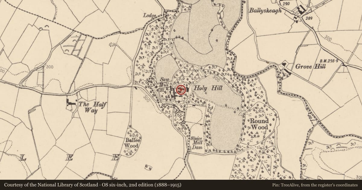 Ordnance Survey six-inch map, 2nd edition (1888–1915) covering the location of Yardman's House, Hollyhill, Derry City and Strabane, with a pin at the register's coordinates