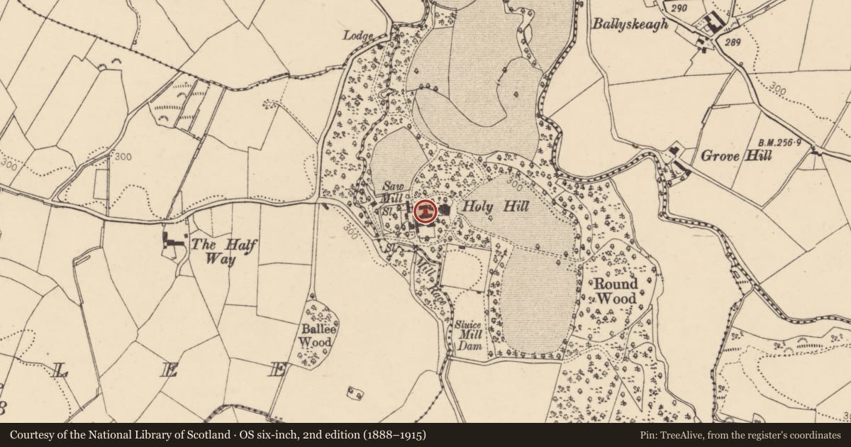 Ordnance Survey six-inch map, 2nd edition (1888–1915) covering the location of Barn with, Hollyhill, Derry City and Strabane, with a pin at the register's coordinates