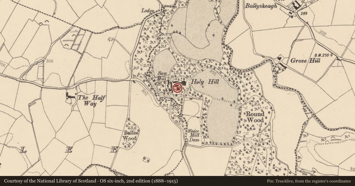 Ordnance Survey six-inch map, 2nd edition (1888–1915) covering the location of Forge at Holy Hill House, Hollyhill, Derry City and Strabane, with a pin at the register's coordinates