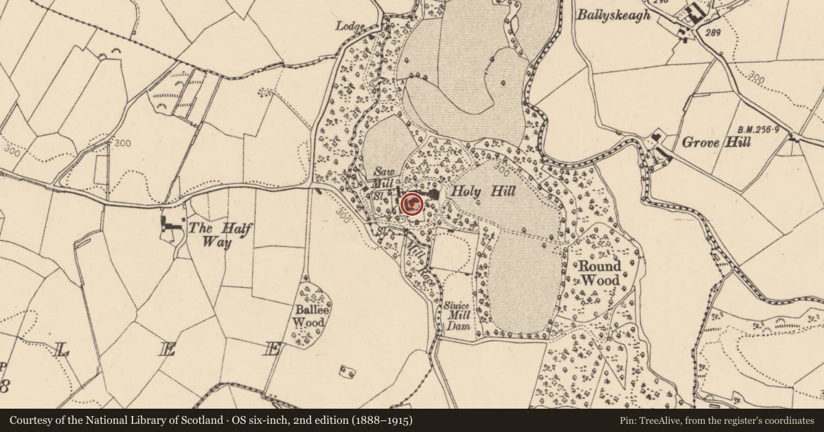 Ordnance Survey six-inch map, 2nd edition (1888–1915) covering the location of Stable for Coach Horses, Hollyhill, Derry City and Strabane, with a pin at the register's coordinates
