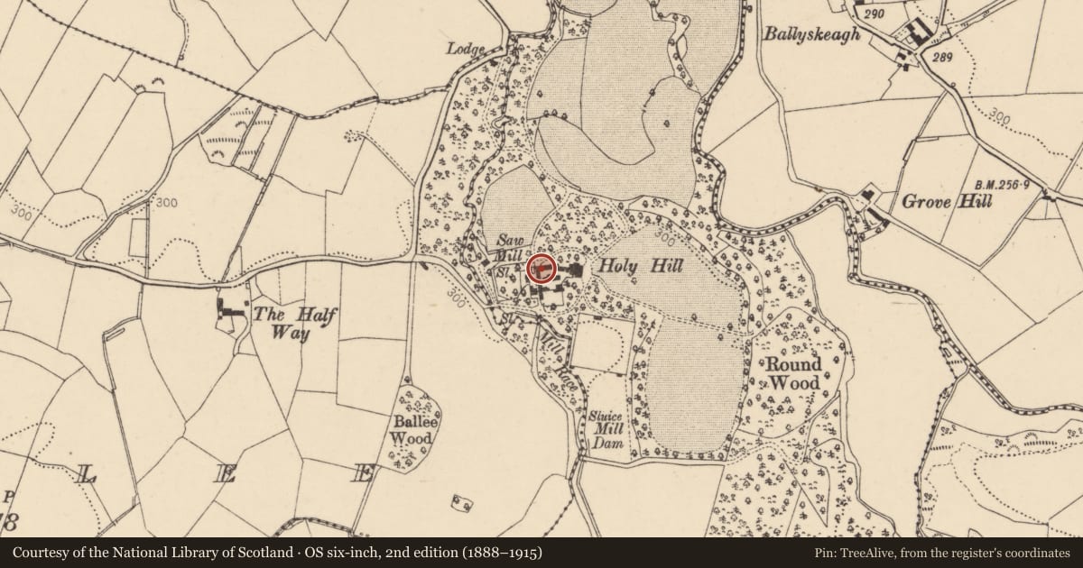 Ordnance Survey six-inch map, 2nd edition (1888–1915) covering the location of Byres at Holy Hill House, Hollyhill, Derry City and Strabane, with a pin at the register's coordinates