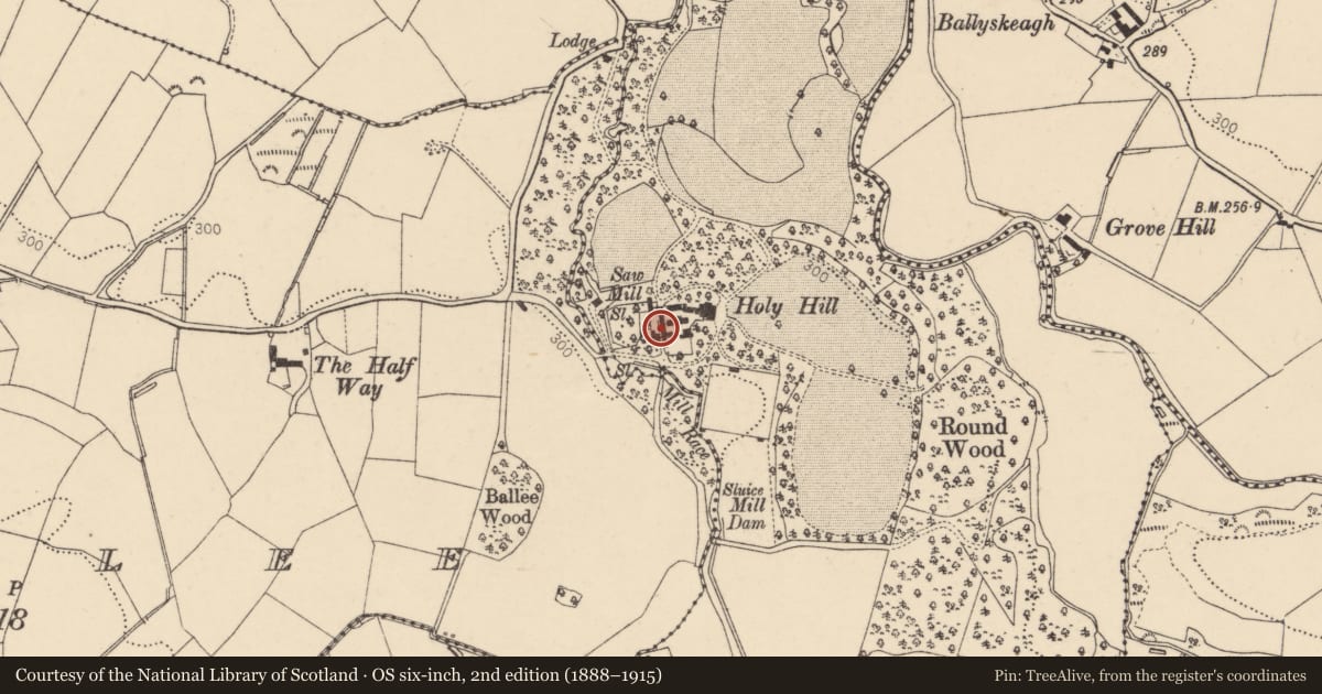Ordnance Survey six-inch map, 2nd edition (1888–1915) covering the location of Stables for farm Horses, Hollyhill, Derry City and Strabane, with a pin at the register's coordinates