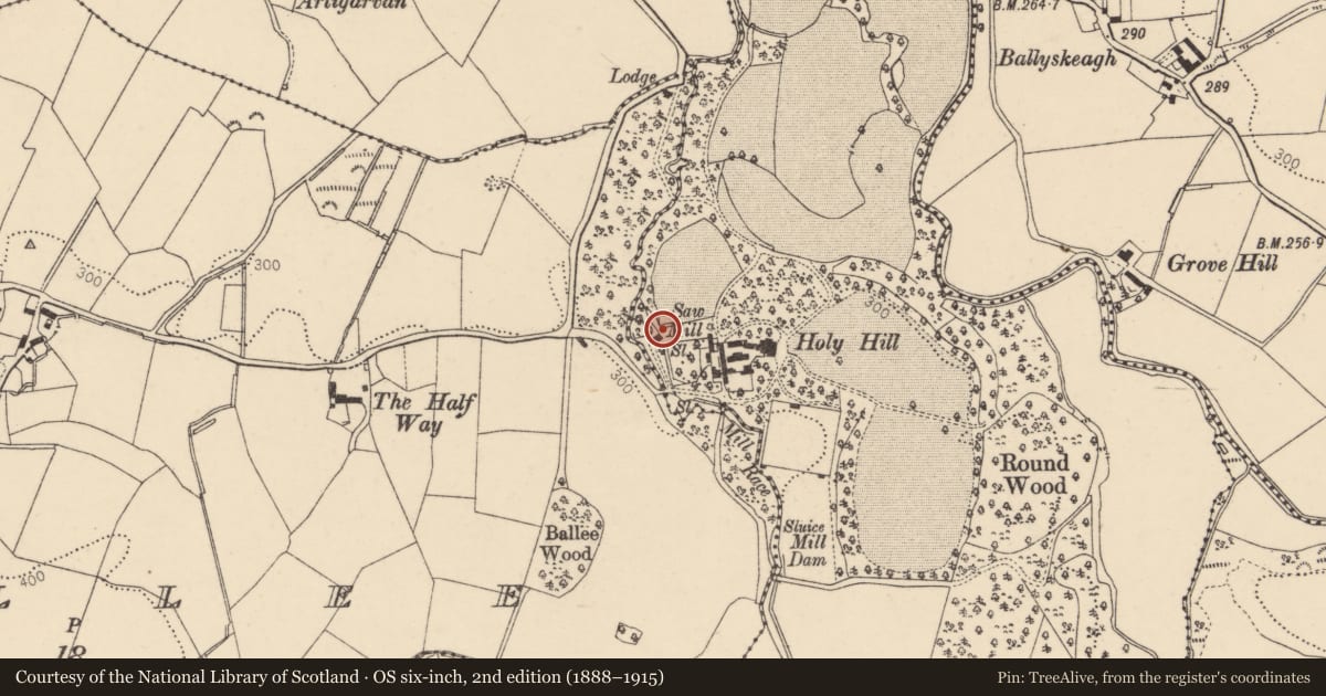 Ordnance Survey six-inch map, 2nd edition (1888–1915) covering the location of Saw Mill at Holy Hill House, Hollyhill, Derry City and Strabane, with a pin at the register's coordinates