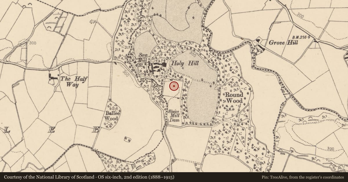 Ordnance Survey six-inch map, 2nd edition (1888–1915) covering the location of Walled Garden and Vine House, Hollyhill, Derry City and Strabane, with a pin at the register's coordinates