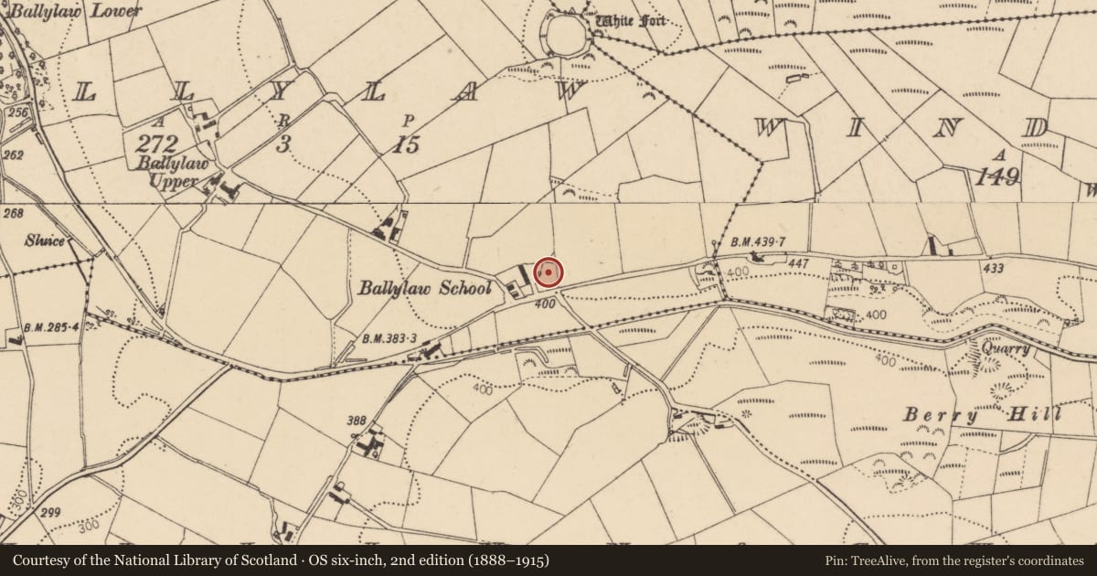Ordnance Survey six-inch map, 2nd edition (1888–1915) covering the location of 96 Berryhill Road, Artigarvan, Strabane, Co Tyrone, BT82 0HP, Derry City and Strabane, with a pin at the register's coordinates