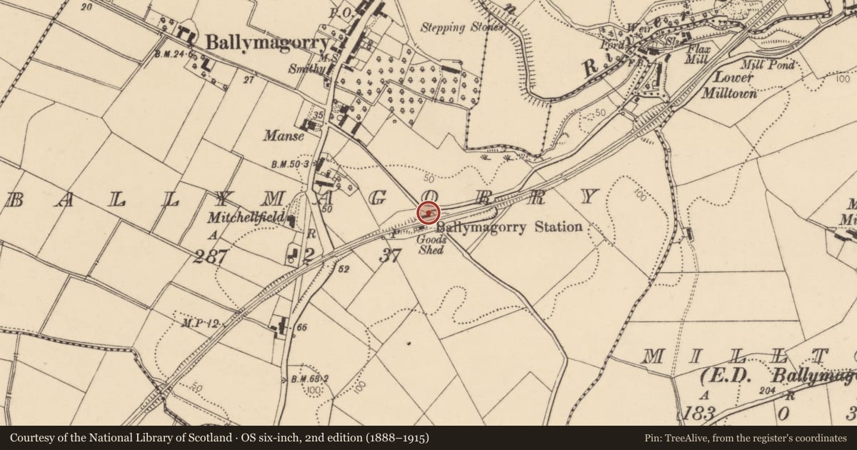 Ordnance Survey six-inch map, 2nd edition (1888–1915) covering the location of Ballymagorry Railway Station, Derry City and Strabane, with a pin at the register's coordinates